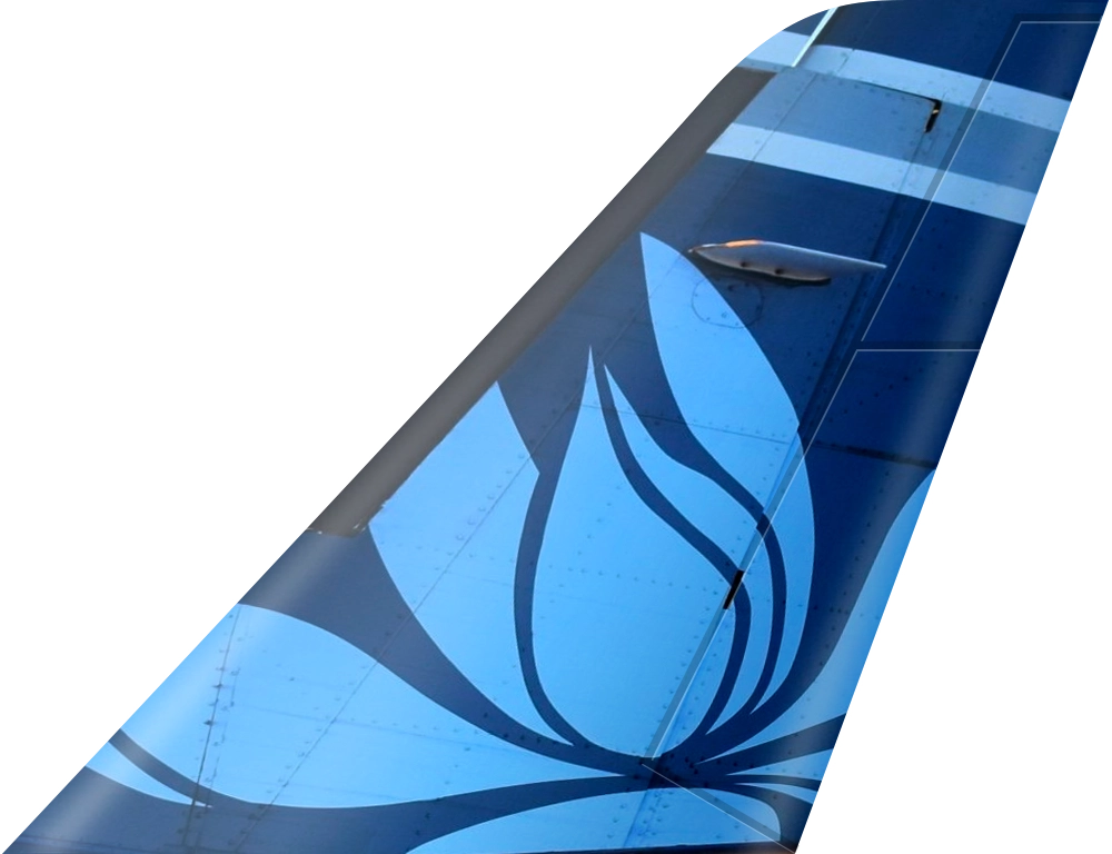 Airline Logo