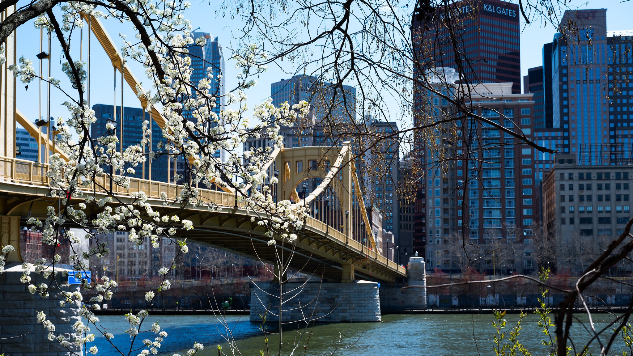 pittsburgh bridge skyline spring